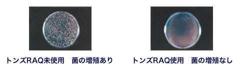 【右】トンズRAQ未使用 菌の増殖あり 【左】トンズRAQ使用 菌の増殖なし